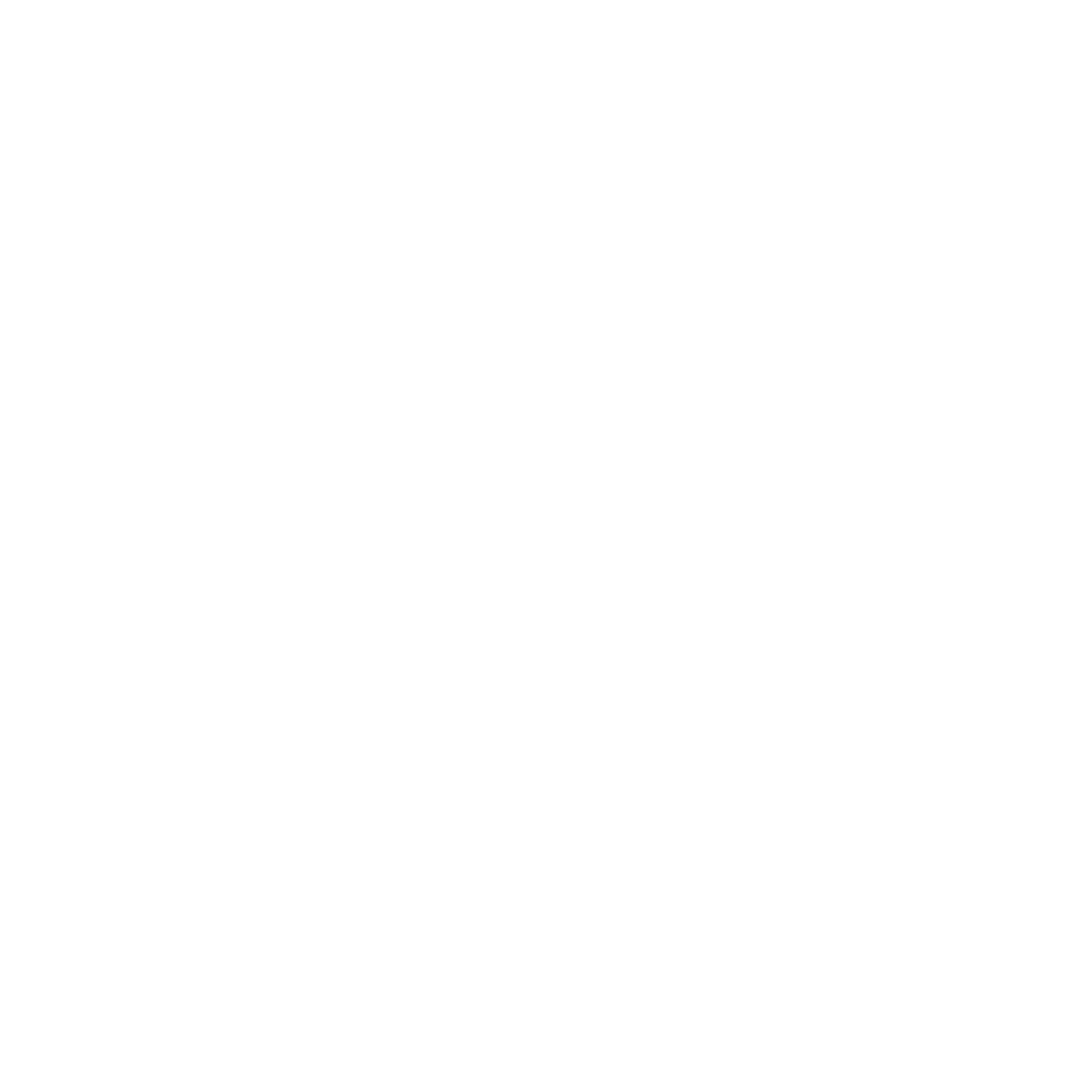 SKM Software Logo